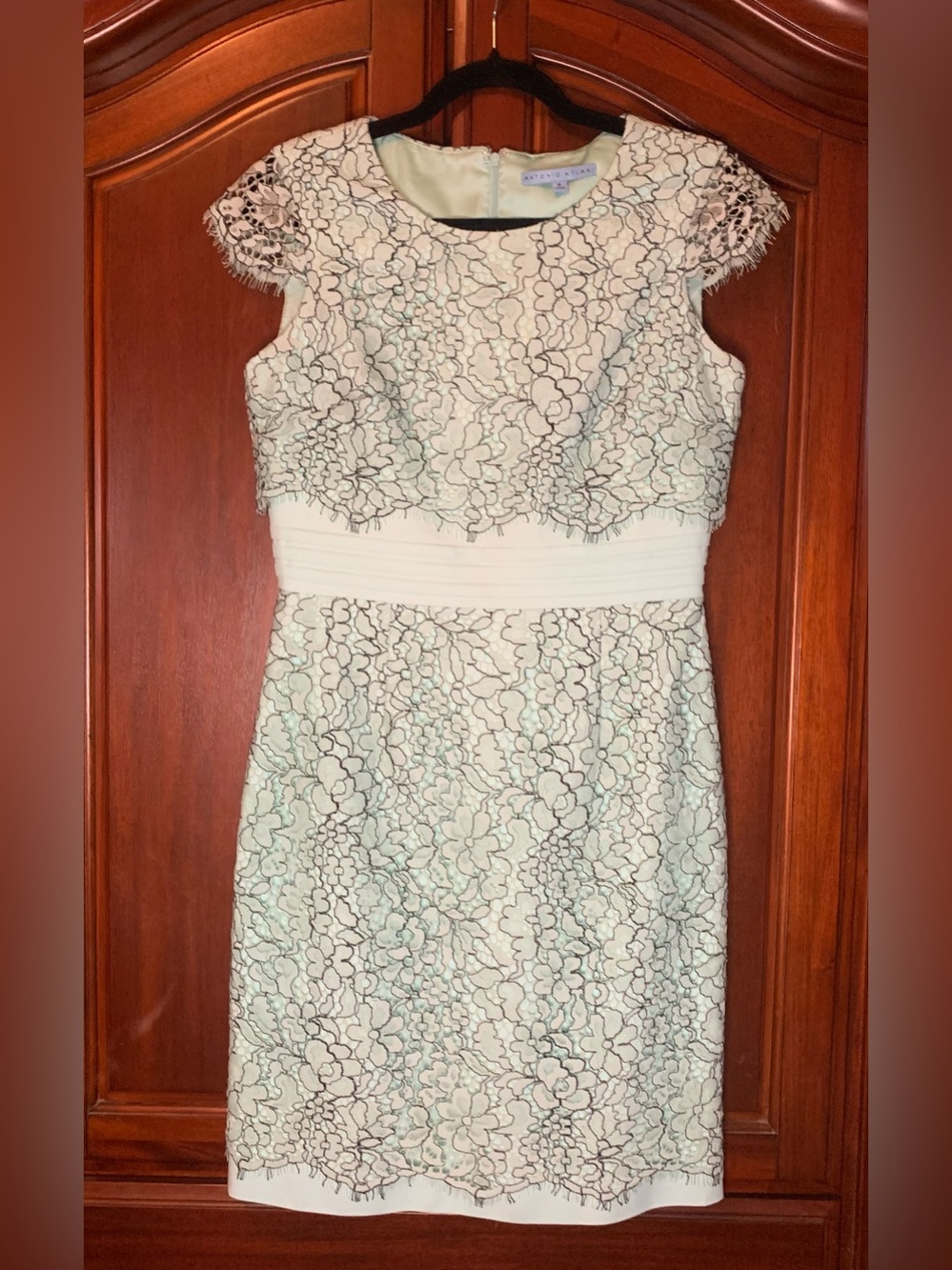 Antonio Melani Floral Lace Midi Dress in Blue & White Size 6